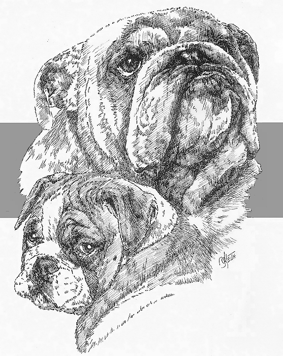 Barbara Keith - English Bulldog and Pup