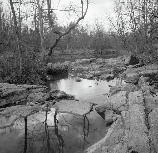 Eno River - Fews Ford Greeting Card by Holden Richards