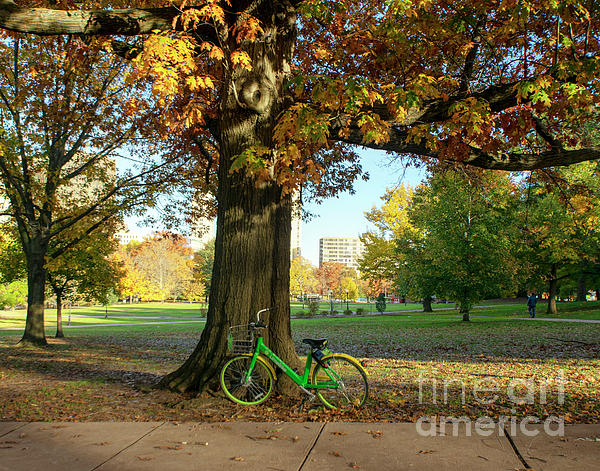 Fall Biking In Hartford Photograph