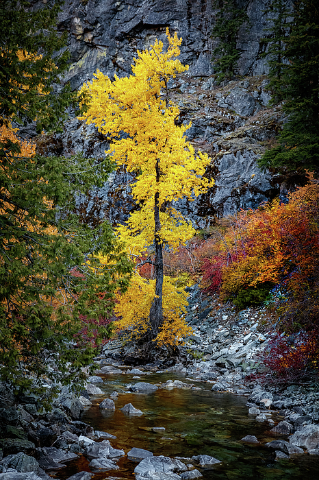 Fall Color Stevens Pass 1 Bath Towel by Mike Penney Fine Art America