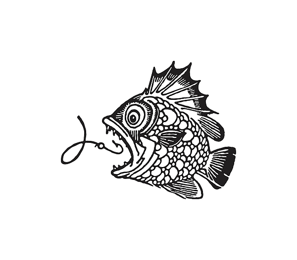 Fishing Stickers by Hook Life
