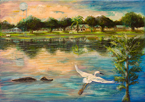 Zina Stromberg - Florida wildlife and sunset reflection