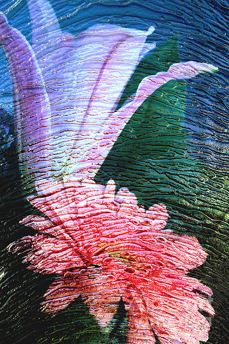 Flower Art