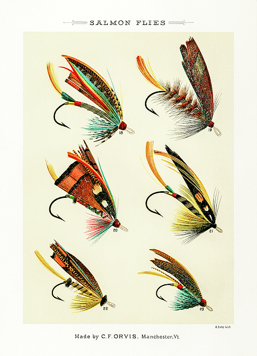 Fly Fishing Lures 2 Greeting Card by David Letts