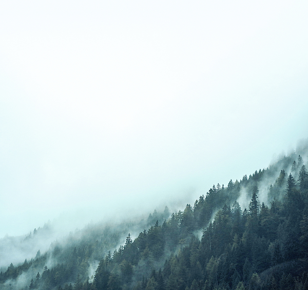 mountain jungle mist stock photos - OFFSET