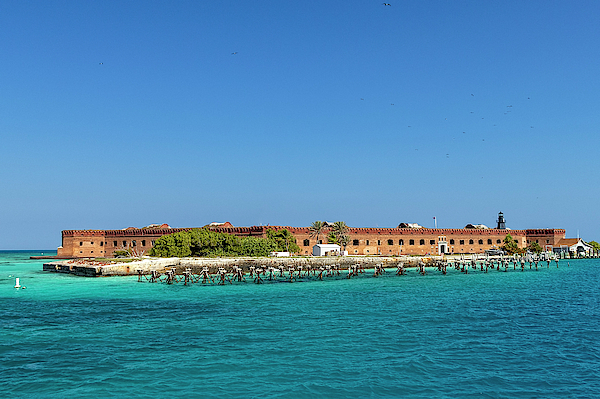 Kay Brewer - Fort Jefferson, Dry Tortugas National Park