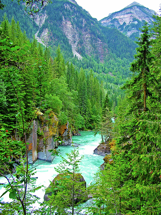 Ruth Hager - Fraser River beyond Overlander Falls from Yellowhead Highway, British Columbia, Canada