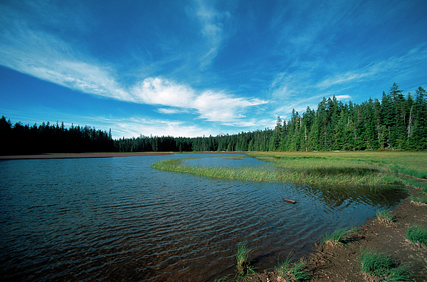 https://images.fineartamerica.com/images/artworkimages/medium/2/frog-lake-mount-hood-oregon-oreg335-00112-kevin-russell.jpg