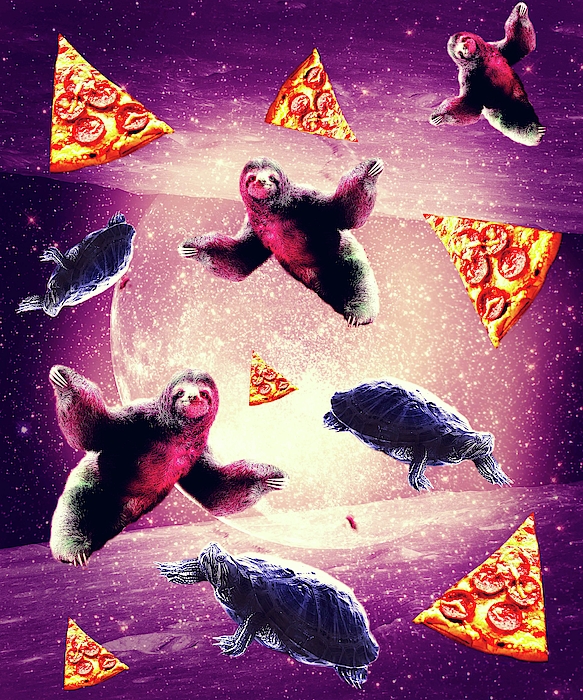 Funny Space Sloth With Pizza Throw Pillow by Random Galaxy - Pixels