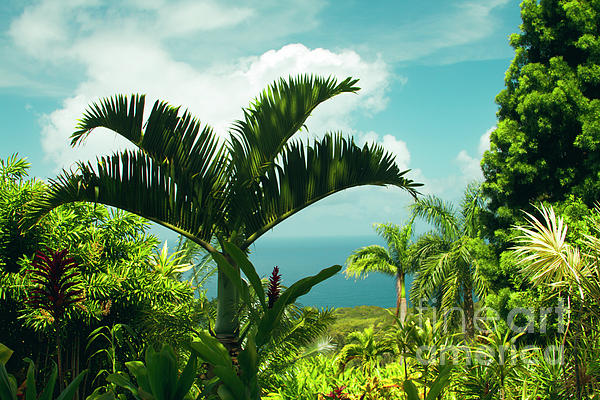 Garden Of Eden Tropical Paradise Puohokamoa Maui Hawaii Bath Towel