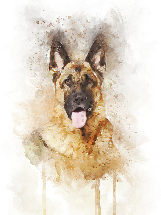 German shepherd throw clearance pillow