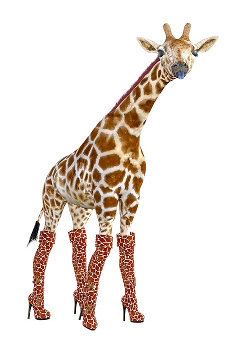 Giraffe Funny Pose Digital Art