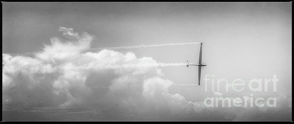Natural Abstract Photography - Gliding - Slaton, Texas