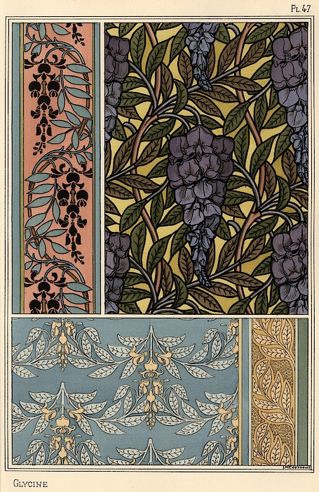 Glycine in art nouveau patterns for stained glass, fabric and wallpaper.  Lithograph by . iPhone 5s Case by Album - Fine Art America