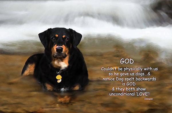 GOD - Dog Spelt Backwards Greeting Card for Sale by Jennifer Stackpole