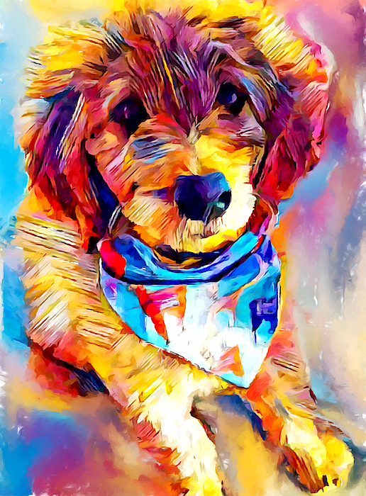 goldendoodle puzzle