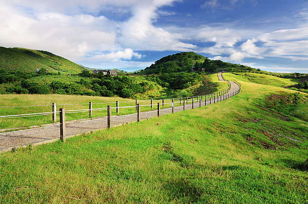 Green Grassland In Chingtienkang Jigsaw Puzzle by Frank Chen - Photos.com