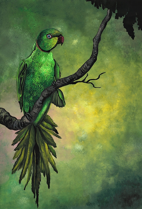 Tara Krishna - Green ring -necked parrot