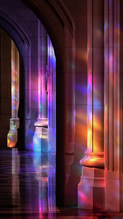 Reflection Art