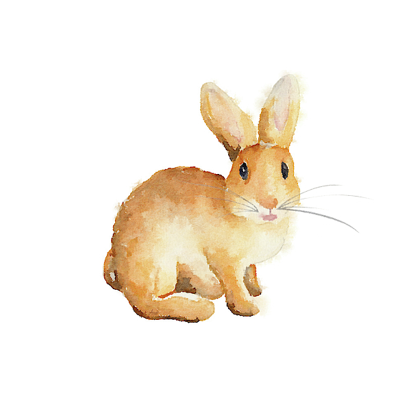 Happy Bunny II Yoga Mat by Andi Metz - Pixels
