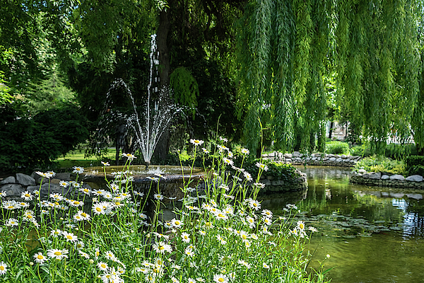 Happy Sunny Daisies - Summertime Biophilic Fountain Jigsaw Puzzle by Georgia  Mizuleva - Pixels Puzzles