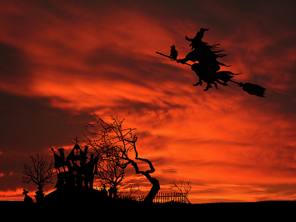 David Dehner - Haunted House Sunset Silhouette