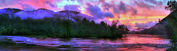 Nature Photographs