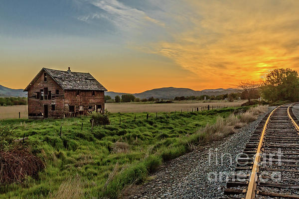 Robert Bales - Homestead By The Tracks