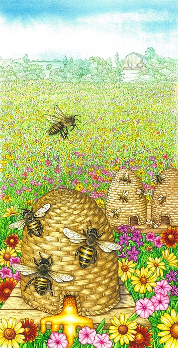 Illustrating a Bumble bee - Lizzie Harper