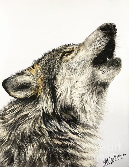 pencil drawings of wolves howling at the moon