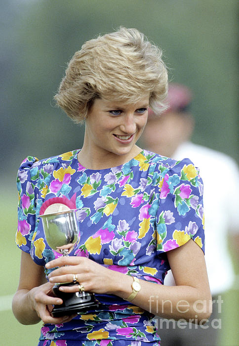 HRH Princess Diana Princess of Wales T-Shirt for Sale by Glenn Harvey