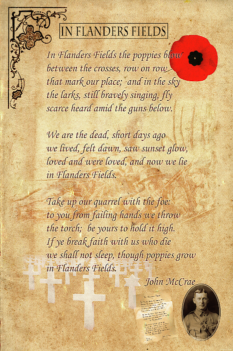 In Flanders Fields Greeting Card by Andrew Fare