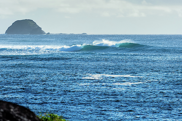 Surf Art