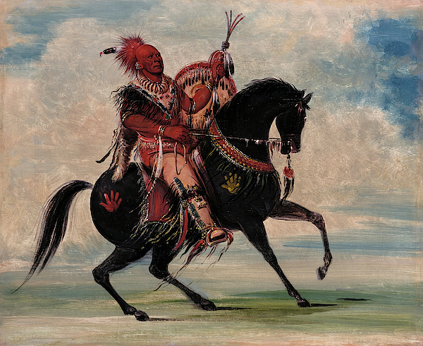 Reining in a Wild Horse George Catlin/'s Indian Gallery Fine Art Print