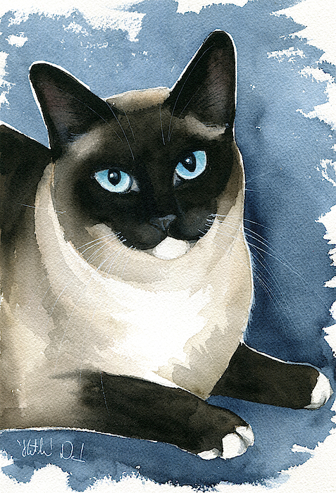 Dora Hathazi Mendes - Kiki Snowshoe Siamese Cat