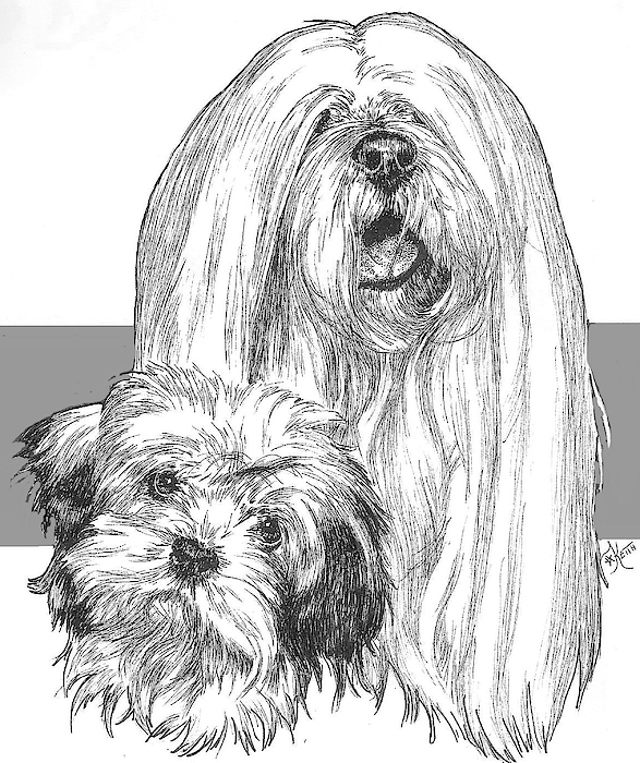 Barbara Keith - Lhasa Apso and Pup