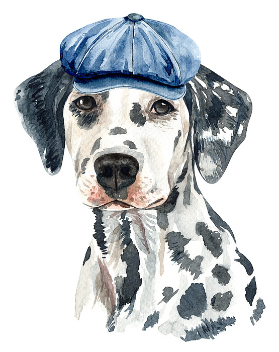 Lovely Dalmatian With Beret Watercolor Painting