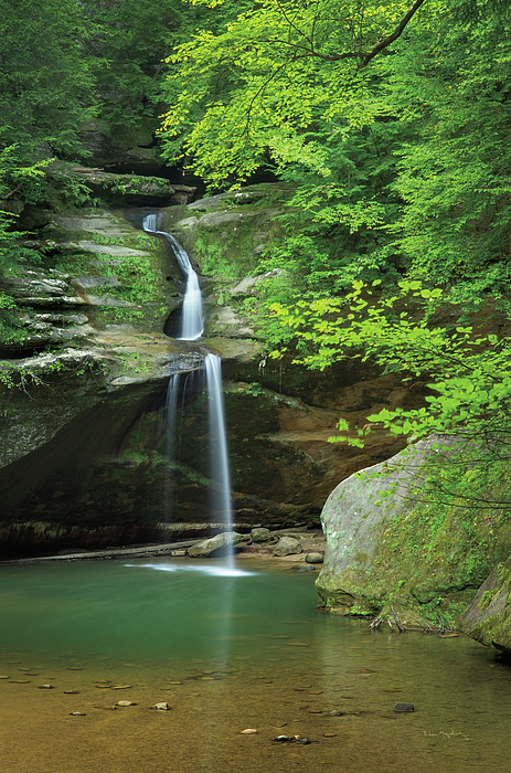 Nature Photographs