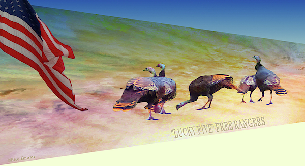 Lucky Five- Free Rangers Mixed Media