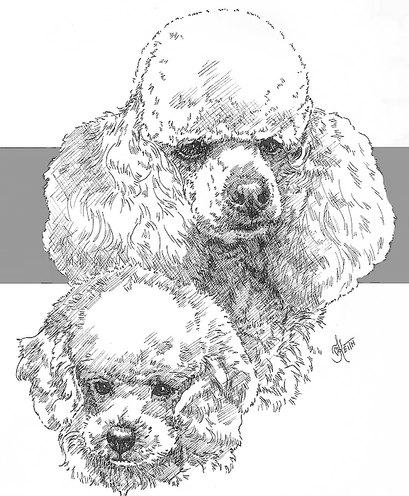 Barbara Keith - Miniature Poodle and Pup