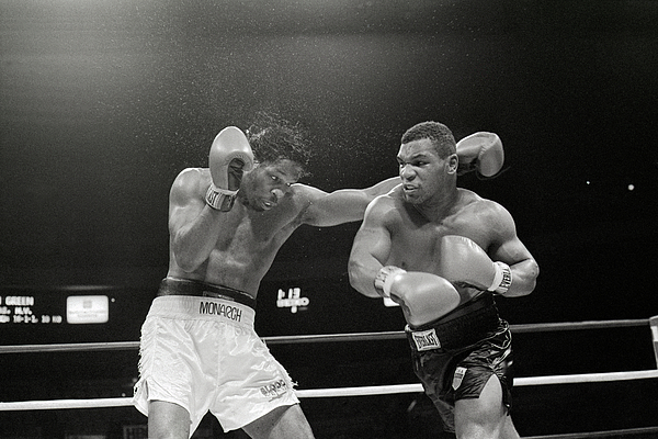 Boxing Photographs for Sale