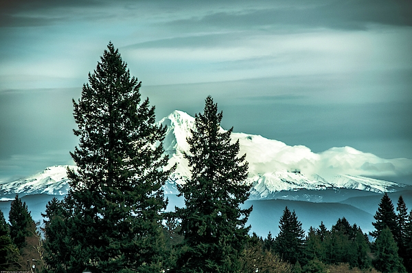Jack Andreasen - Mount Hood - Government Camp - Oregon