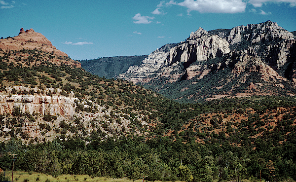 Large sandstone monolith seen beyond a few trees in Oak Creek Canyon -  ARIZ400 00210 Coffee Mug by Kevin Russell - Pixels