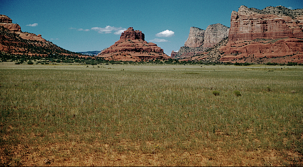 Large sandstone monolith seen beyond a few trees in Oak Creek Canyon -  ARIZ400 00210 Coffee Mug by Kevin Russell - Pixels