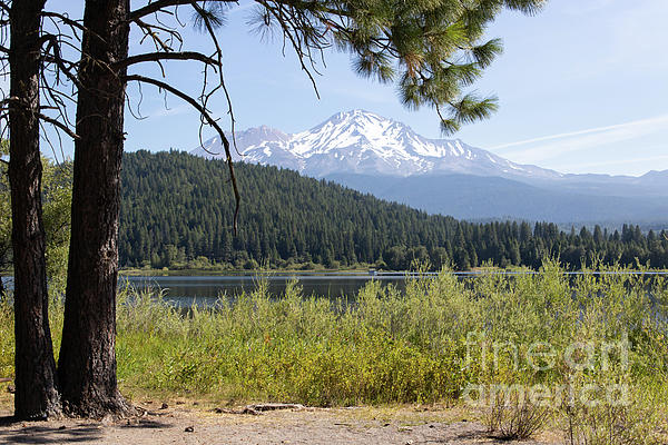 https://images.fineartamerica.com/images/artworkimages/medium/2/mt-shasta-and-lake-siskiyou-in-california-r1650-wingsdomain-art-and-photography.jpg