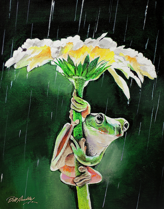 Bill Dunkley - Natures Umbrella