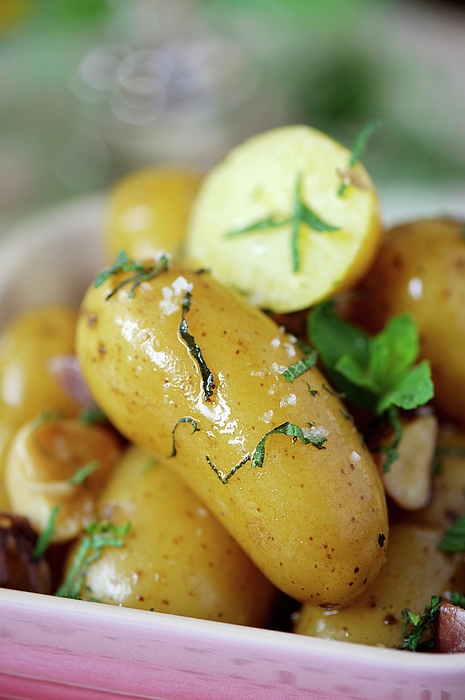 New Potatoes With Herbs close-up Yoga Mat by Heinze, Winfried - Pixels