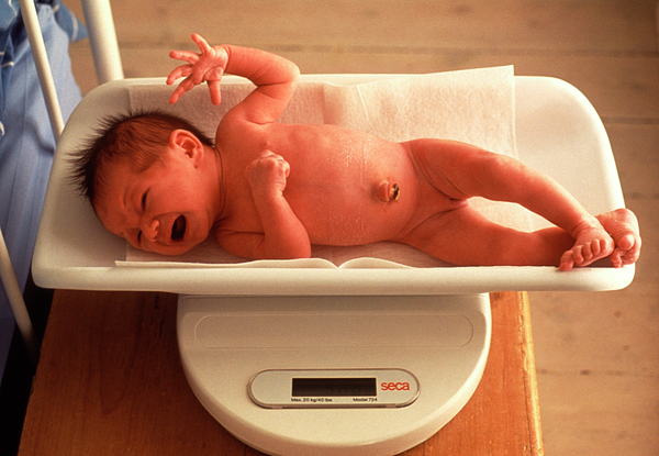 Closeup of 1 Months Old Newborn Baby Boy Lying on Digital Scales or Weighs.  Concept of Babies and Newborn Hygiene and Stock Photo - Image of growth,  girl: 208995290