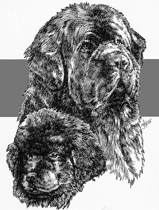Barbara Keith - Newfoundland and Pup