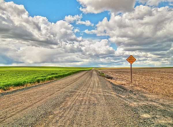 Palouse Art